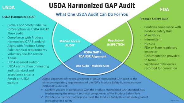Using GAP audits for success in the marketplace