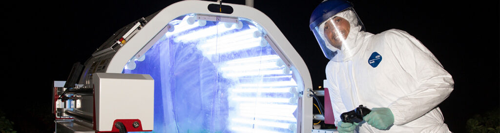 Strawberry pest controlled by UV lamps