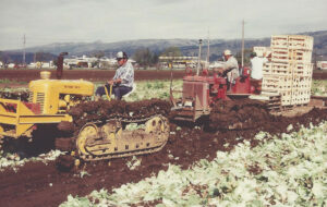UesugiFarms