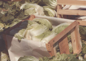 UesugiFarms3