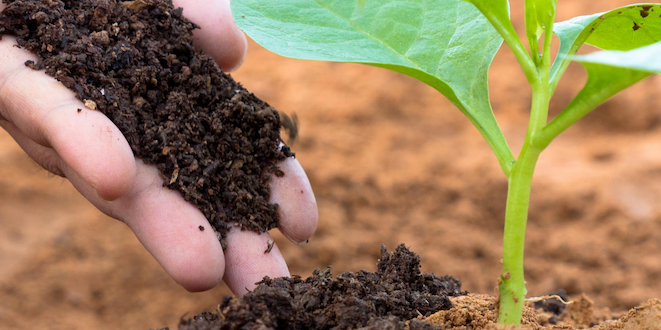 Fertilizer, input costs focus of UF/IFAS seminar