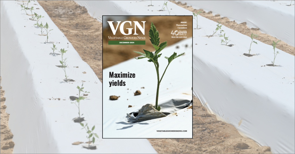 Editor’s letter: Cucumber production methods gain spotlight from farms on TikTok