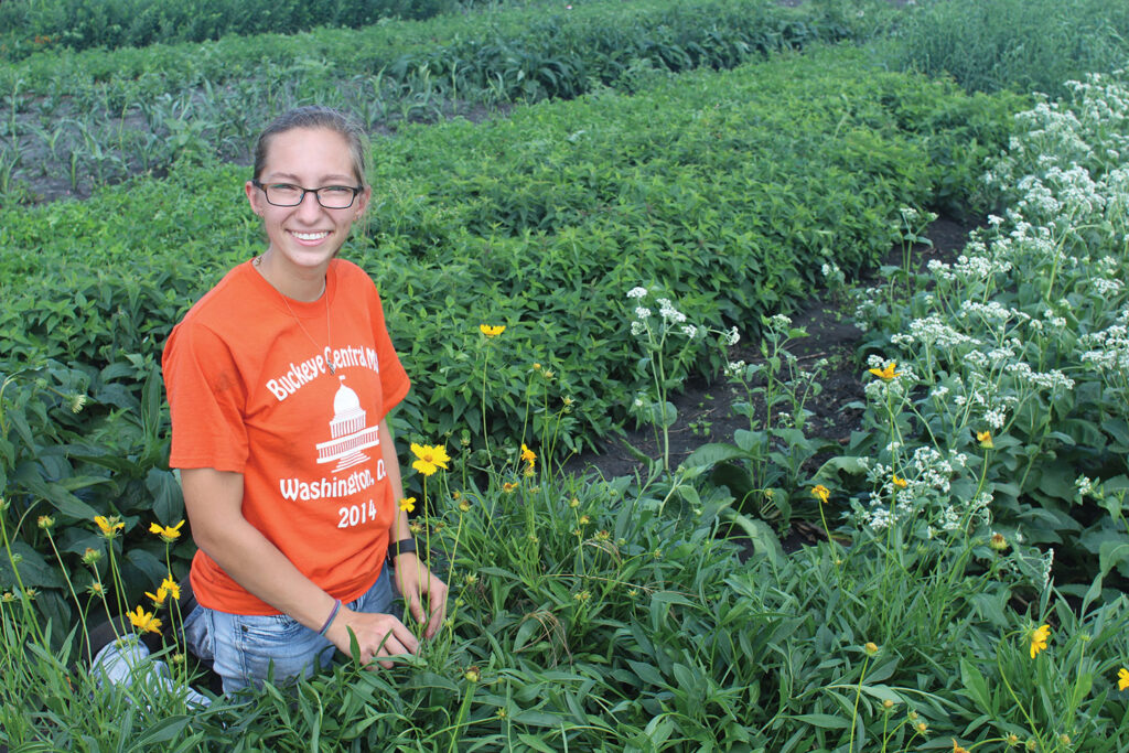 Muck fields may attract bees to aid pollination