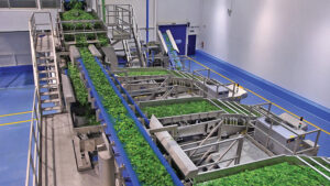 TOMRA machines sorting through vegetables