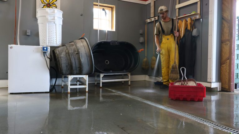 University of Vermont shares guidelines for fruit, vegetable operations