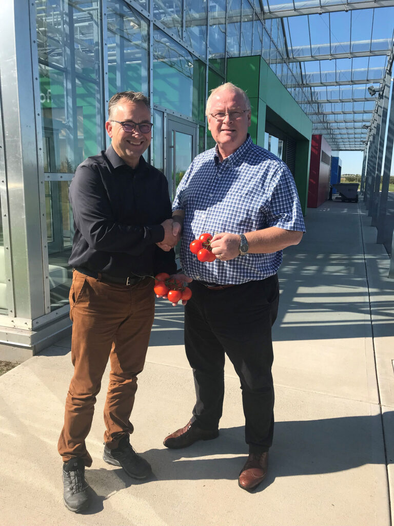 Vineland partners with Eminent Seeds to bring tomatoes to Ontario
