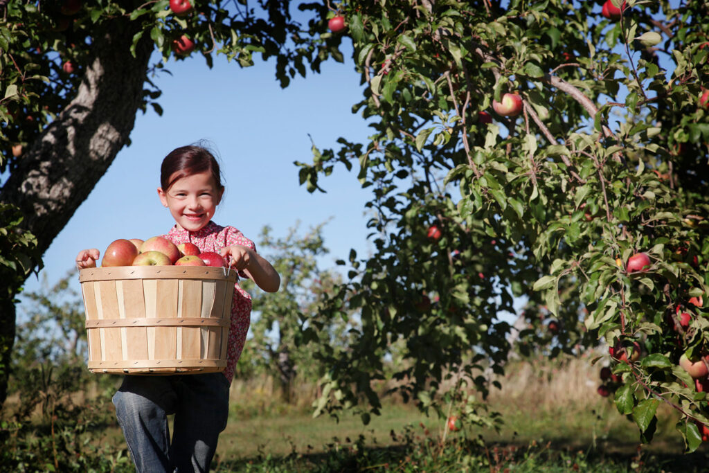 Virginia Agritourism Conference explores $2.2B industry