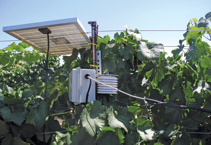On-farm AI: How water, farm and labor research guides decisions