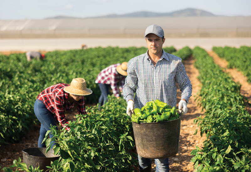 The surprising challenge: Why do most succession plans fail?