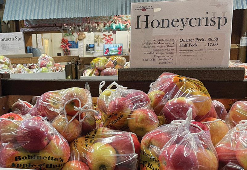 Inflation, farm input costs shape farm market prices