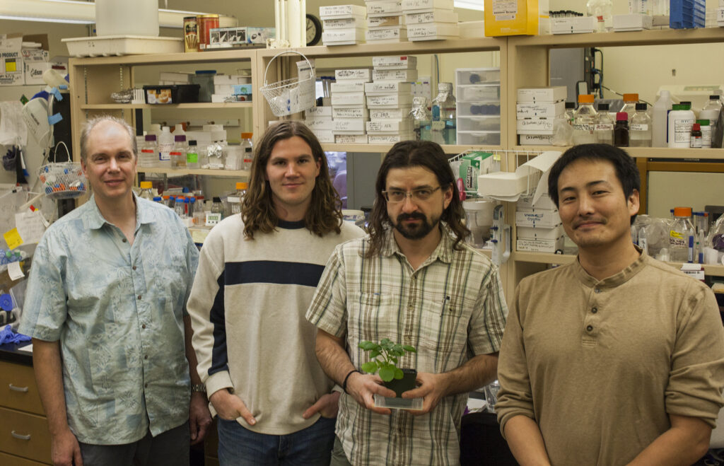 Plant immune response seen