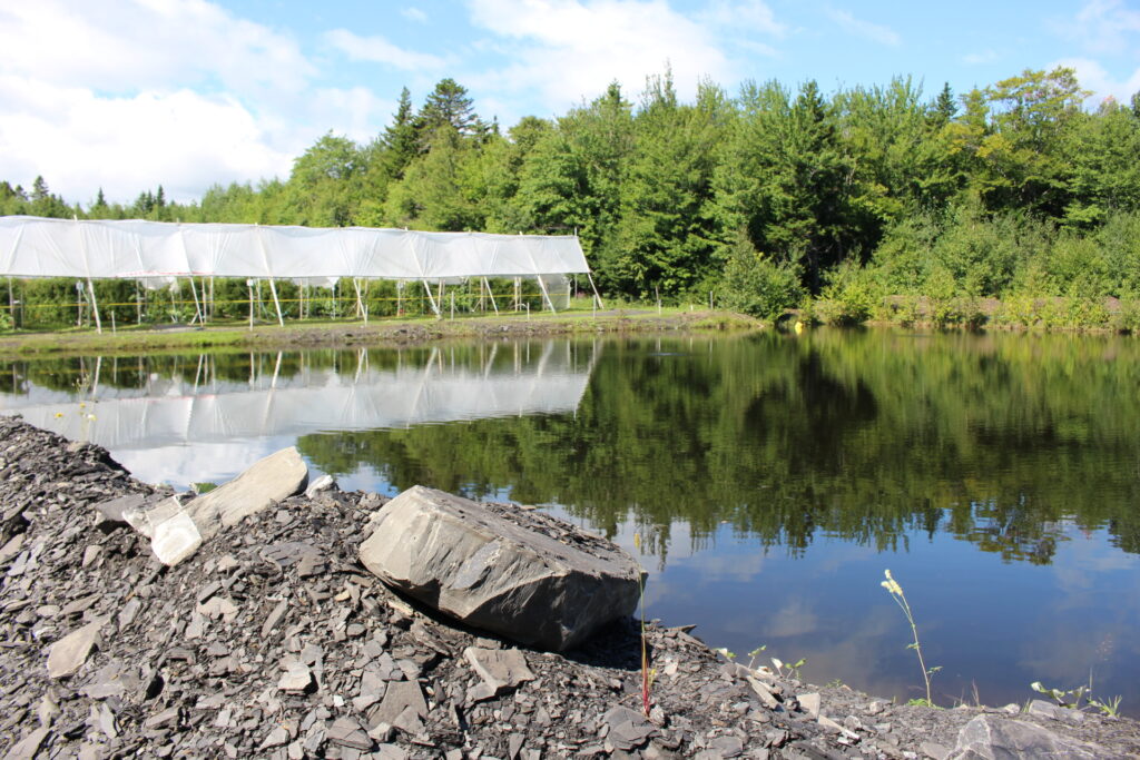 ‘Destructive impacts’ lead to EPA, Army revisiting WOTUS definition