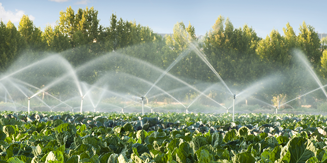 Ag interests seek more water investments in Biden infrastructure proposal