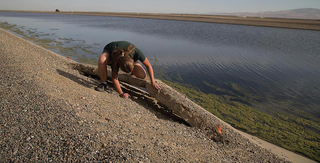 Water woes challenge Western ag