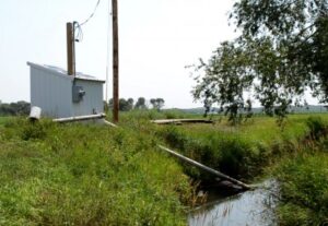 Photo: Phil Tocco/MSU Extension