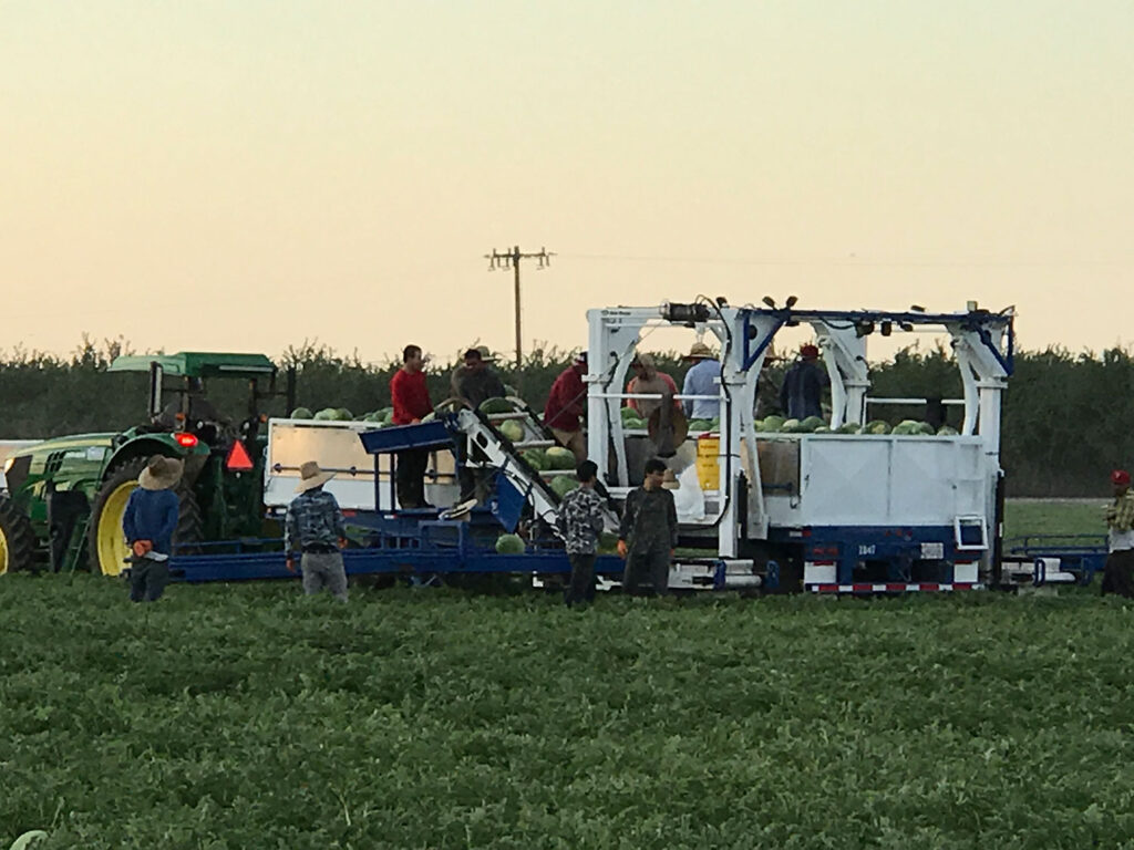 Tips to better prepare farms against COVID-19 for upcoming harvest