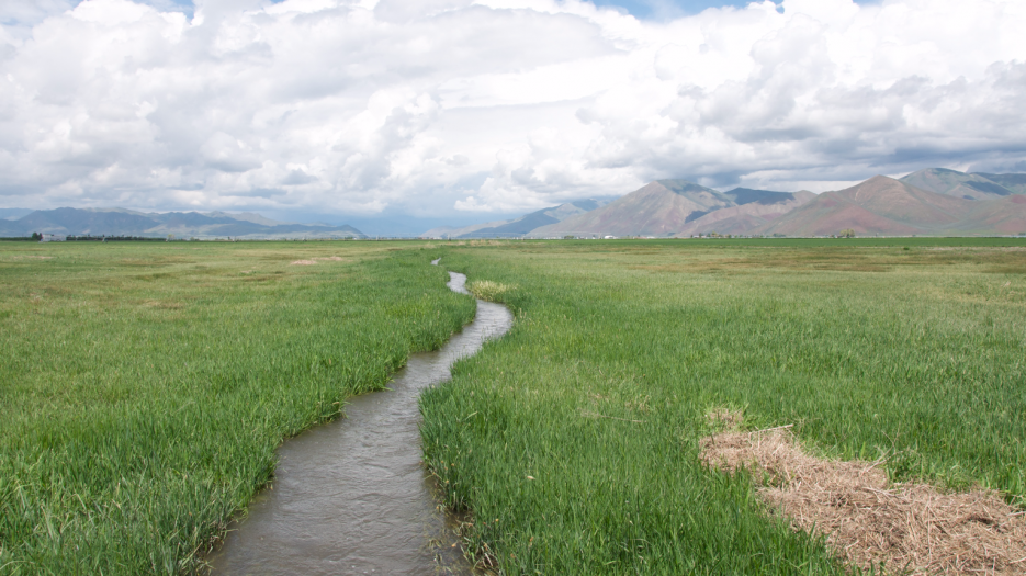 IFPA comments on proposed ag water changes