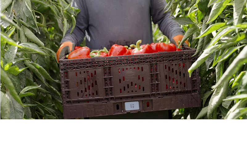 Post FDA, Yiannas continues traceability mission at Wiliot