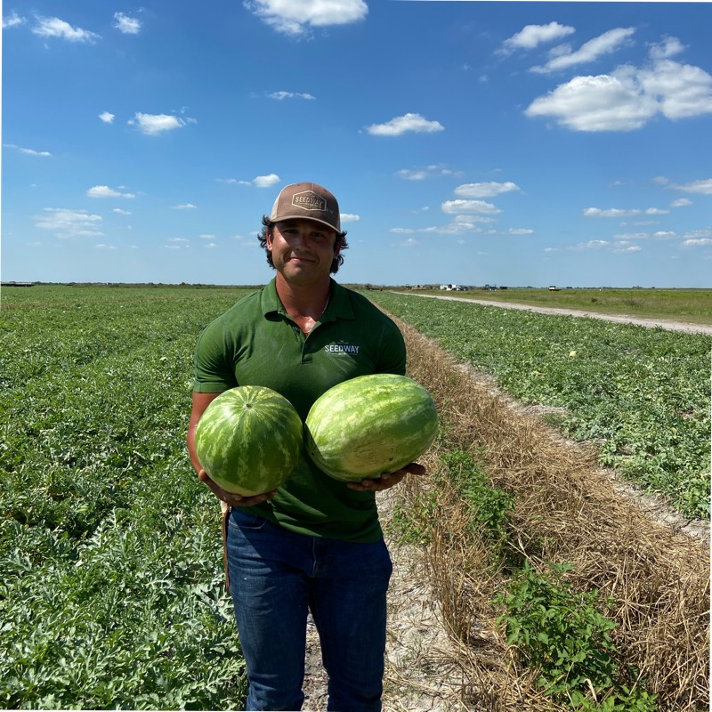 Seedway expands Southeast vegetable seed sales force