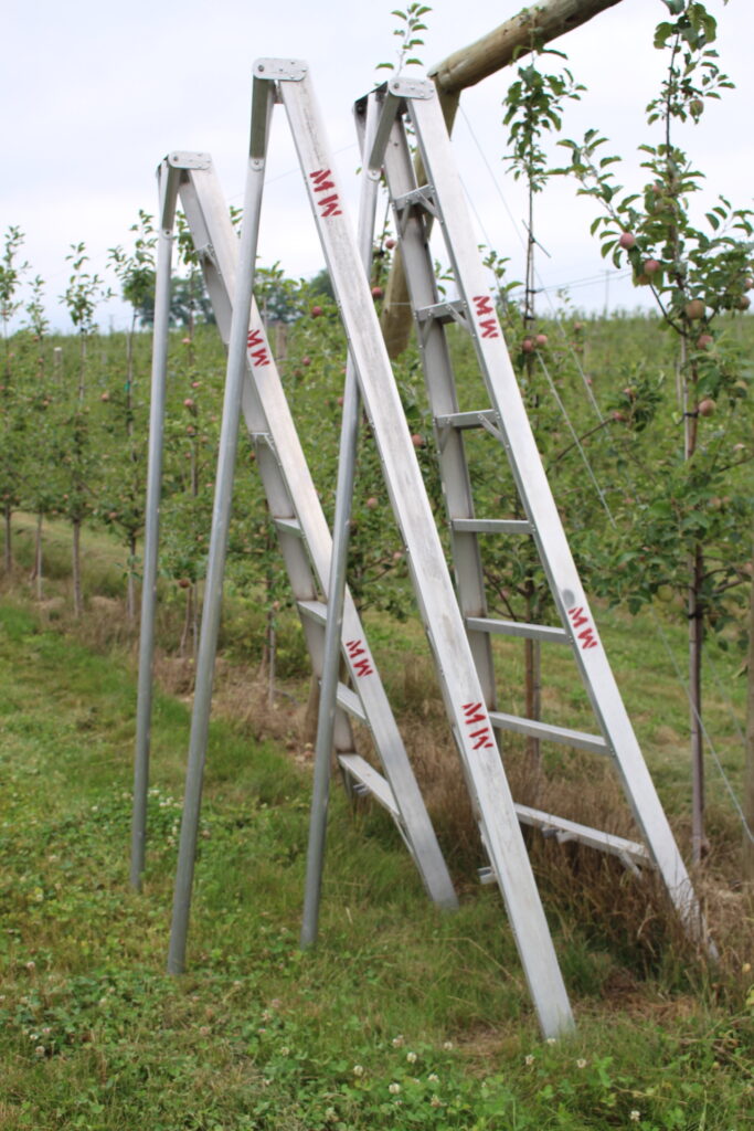 Training program for workers new to the agricultural sector set in Ontario
