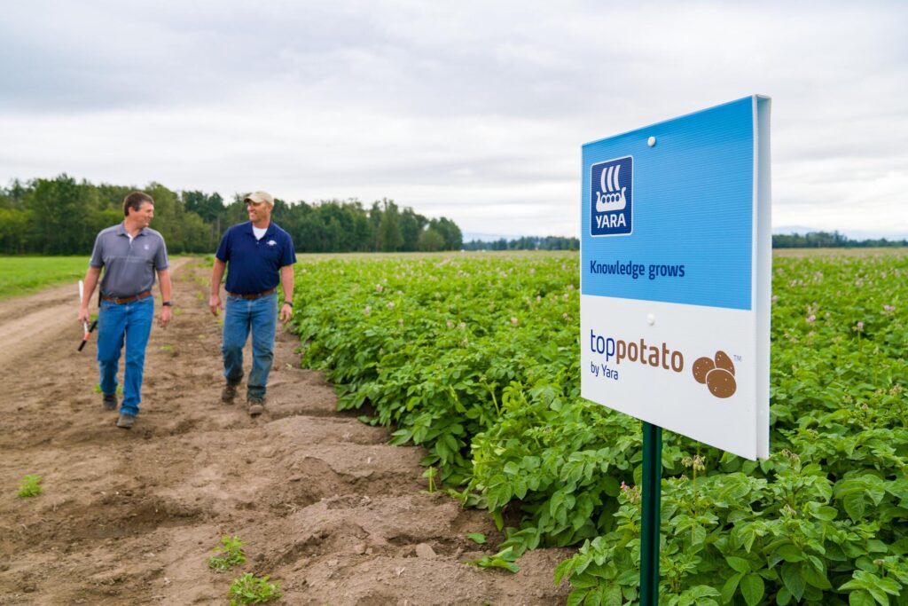 Yara’s incubator farms focus on soil health