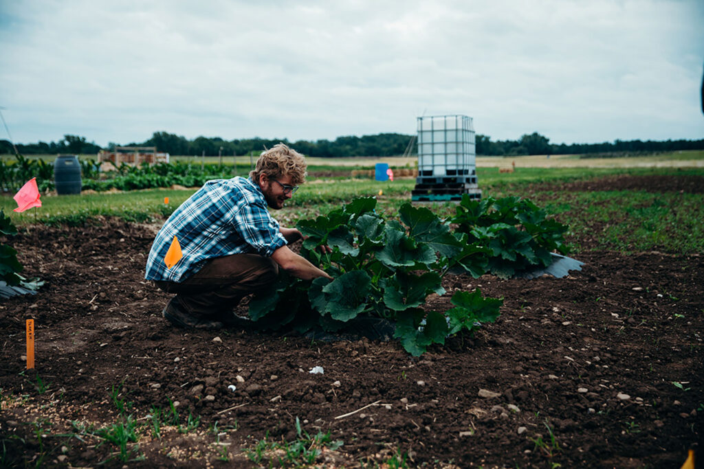 Stansell paving the way for New York broccoli industry