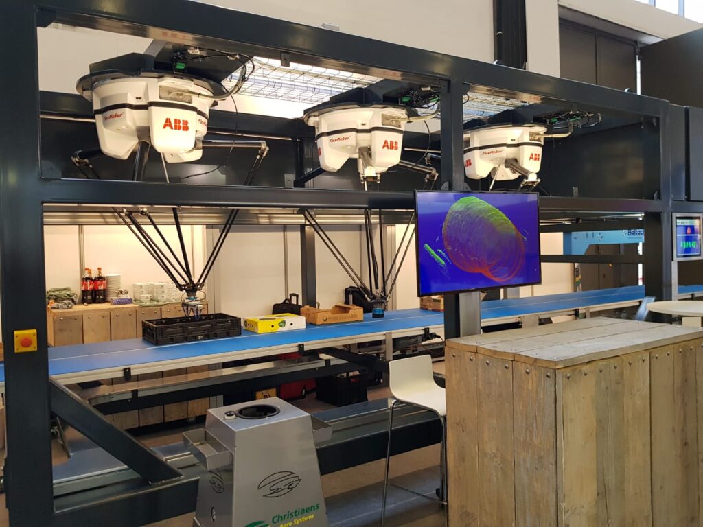 Mechanized cucumber harvesting, packing emerges