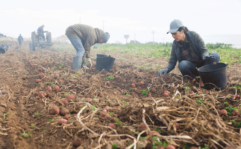 Take VGN’s 2026 Labor Survey