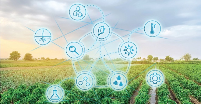 Expert cites anti-disease properties of peptides for use in specialty crops