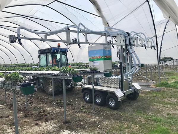 Strawberry growers welcome benefits of new biocontrols applicator