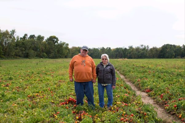 Cover crops help Pennsylvania’s Anchor Farms