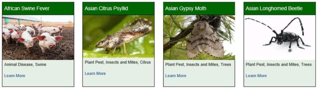 Info on ag pests, disease more accessible on new website