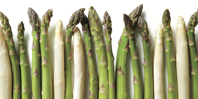 Tips to curb asparagus disease damage