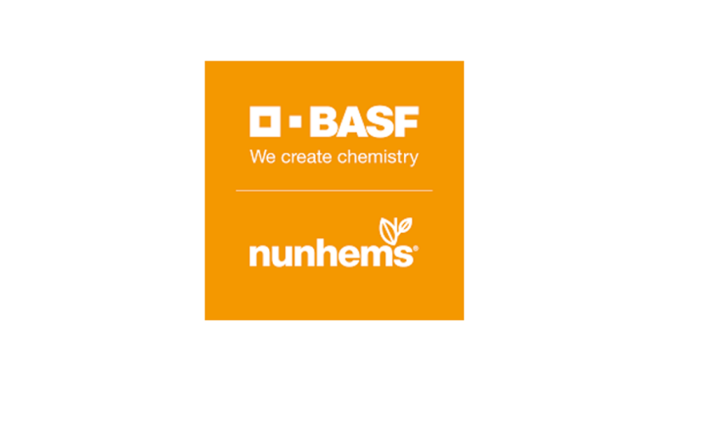 Knock out root-knot nematodes: BASF | Nunhems launch Percyst carrot variety