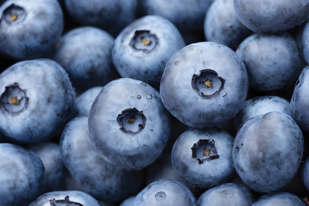 South Africa opens for U.S. fresh blueberries
