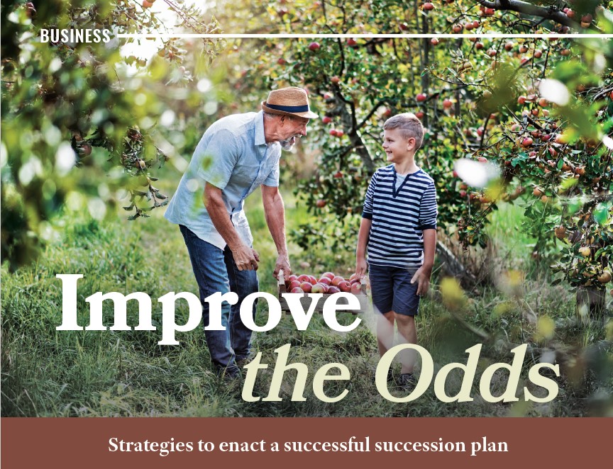 Improve the odds: Strategies to enact a successful succession plan