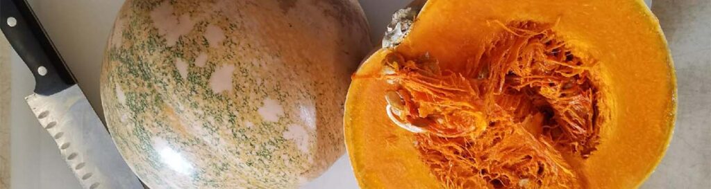 Should your passion for pumpkins include the calabaza?
