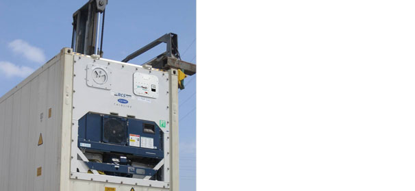 Experts, leaders target cantaloupe safety