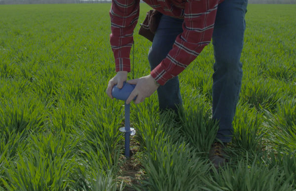 Flex, Bosch invest in CropX