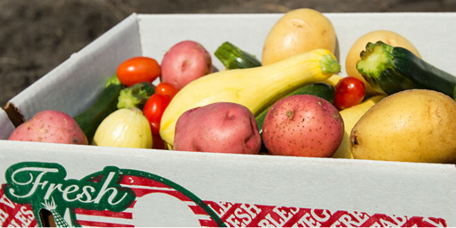 New York revamps Nourish New York portal to link farmers, food banks
