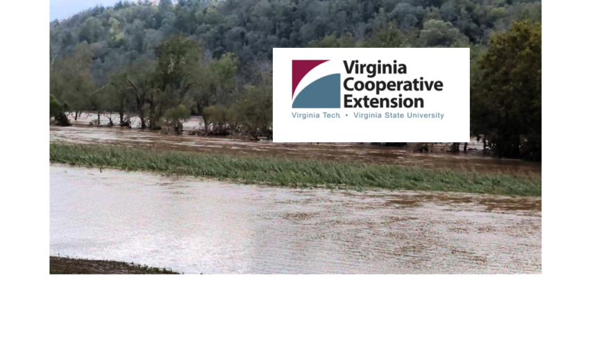 Virginia Cooperative Extension helps communities rebuild after Hurricane Helene