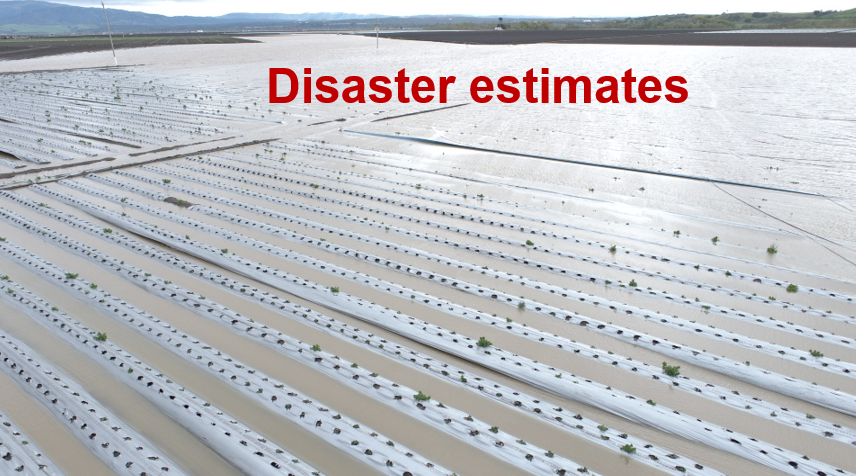 disaster estimates
