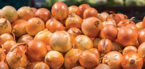 Updated food safety guidelines for dry bulb onions available