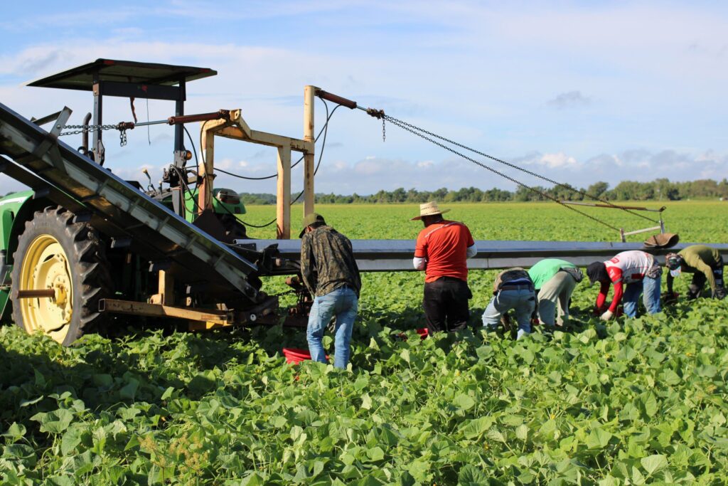 2025 Ag Labor Survey shows grower worries over AEWR, labor rules