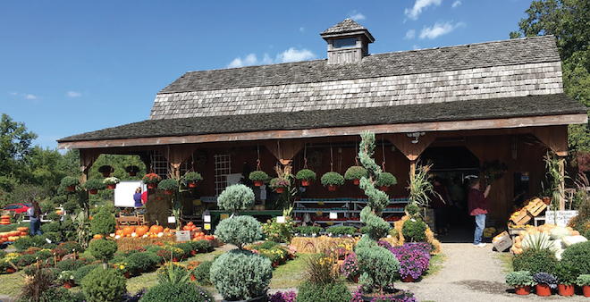 Basics of building an on-farm market