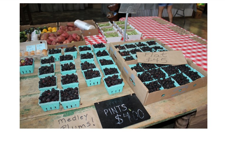 Farm market & agritourism: Brand vs. logo