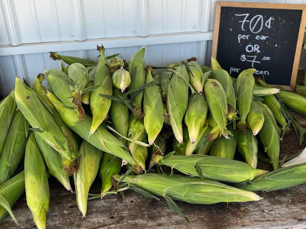 How Farm Markets are adapting pricing strategies and embracing agritourism