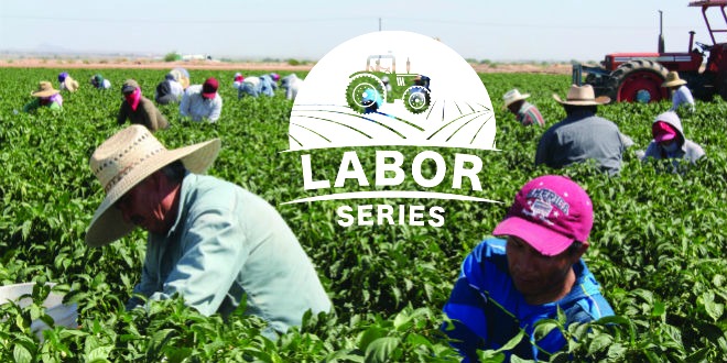 States find ways to deal with labor shortages