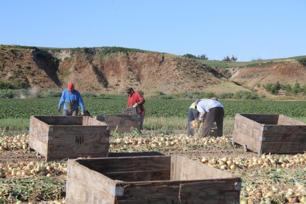 New guidelines revise H-2A filings, AEWR rates