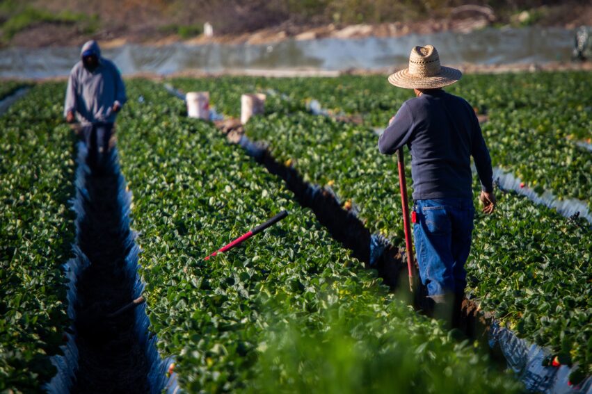 Farmworker heat-related illness toolkit available